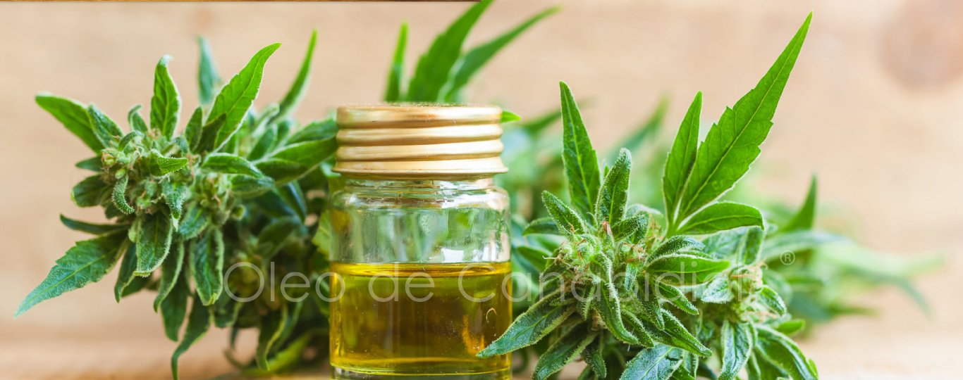 oleo de cbd